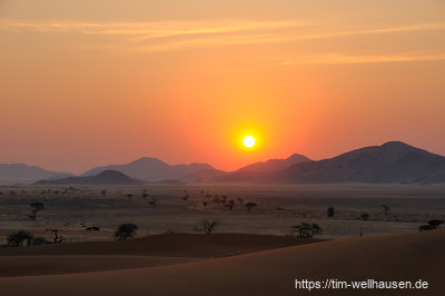 Sonnenaufgang am Rande der Namib