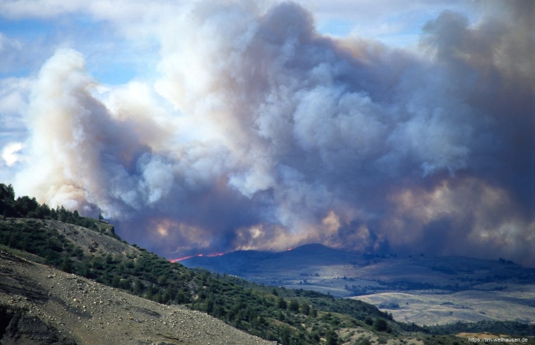 Am 17.02.2005 brach im Torres del Paine ein Feuer aus, das 150 Quadratkilometer Fläche verwüstete - ausgelöst durch einen Wanderer, dem sein Gaskocher umgekippt war...
