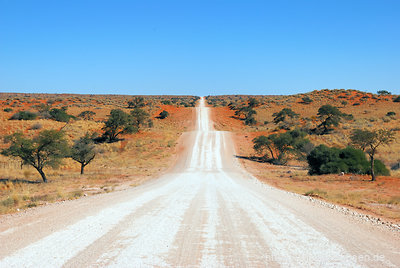 Einmal quer durch Namibias Kalahari - zumindest für gut 20km geht es auf der C17 nur noch auf und ab.
