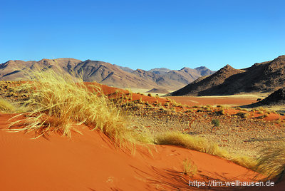 Auf und ab geht es zu Fuß wieder heraus aus Namibias schönster Dünenlandschaft.