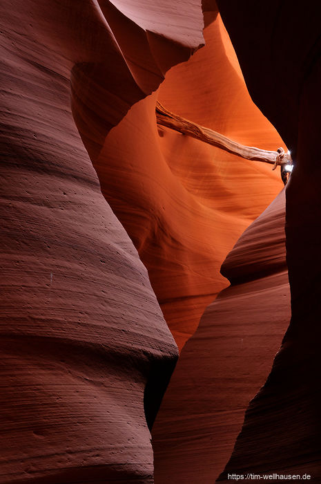 Im Lower Antilope Canyon - der Baumstamm markiert die Höhe der letzten Sturzflut.