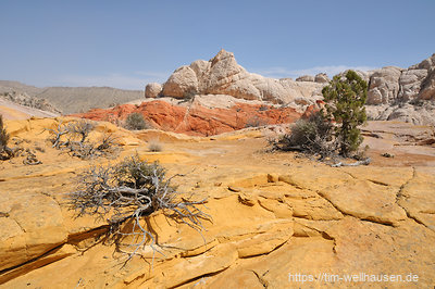 Das Yellow Rock Valley läuft parallel zur südlichen Cottonwood Canyon Road und bietet ein wunderliches Spektakel von rotem und gelbem Sandstein.