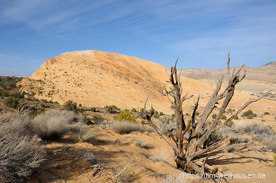Der Yellow Rock ist ein riesiger Sandsteinmonolith.